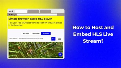embedrise.com|embedrise.com: fast HLS streaming hosting.